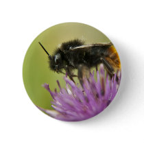 Bee I button pin buttons