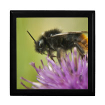 Bee I wooden keepsake jewelry gift box gift boxes