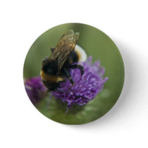 Bee II button pin buttons