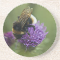 Bee II coaster coasters