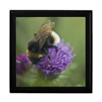 Bee II wooden keepsake jewelry gift box gift boxes