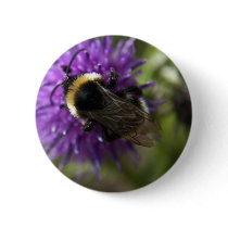 Bee III button pin