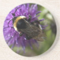 Bee III coaster coasters