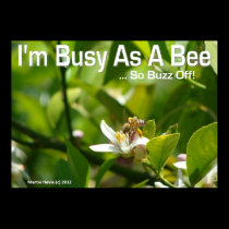 Bee - I'm Busy, So Buzz Off - Poster posters