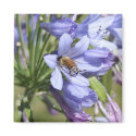 Bee in a flower Magnet