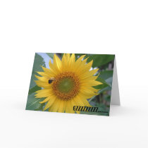 Bee in flight cards
