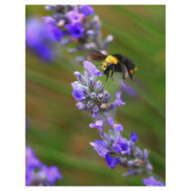 Bee in Lavender Flyer