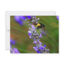 Bee in Lavender invitations by paulnsheryl Bee in Lavender invitations