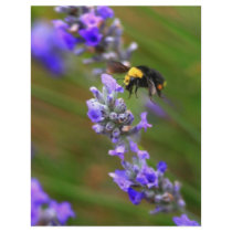Bee in Lavender letterhead by paulnsheryl Bee in Lavender letterhead