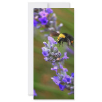 Bee in Lavender rack cards by paulnsheryl Bee in Lavender rack cards