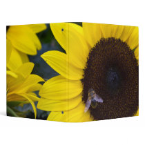 Bee in Sunflower