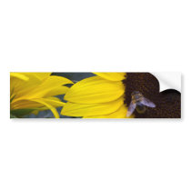 Bee in Sunflower Bumper Sticker