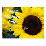 Bee in Sunflower Happy Mother's Day Postcards