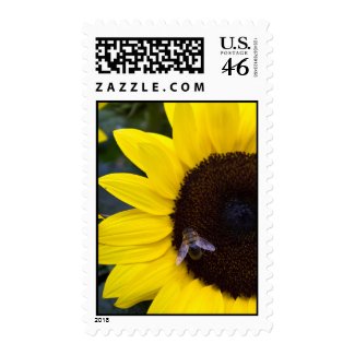 Bee in Sunflower