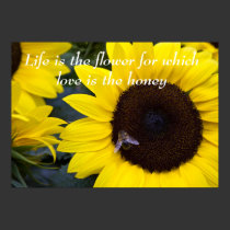 Bee in Sunflower Poster Love is the Honey posters