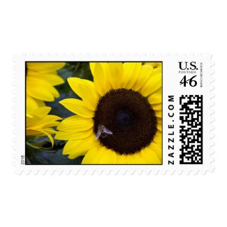 Bee in Sunflower Stamps
