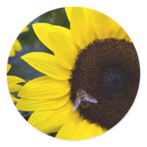 Bee in Sunflower Sticker