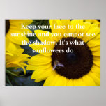 Bee in Sunflower What Sunflowers Do Posters