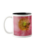 Bee in the Poppy mugs