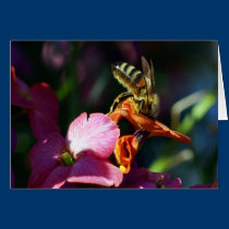 Bee-ing Busy! cards
