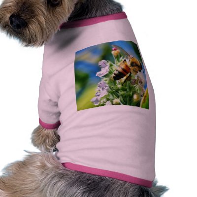 Bee Insect Dog Clothing by lifesphere