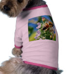 Bee Insect Dog Clothing