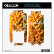 Bee LG Rumor Skins