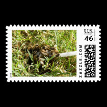 Bee Lollipop stamps
