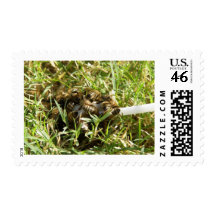 Bee Lollipop Stamp