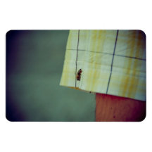 Bee Magnet