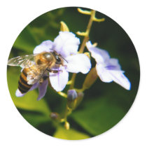 Bee My Honey stickers
