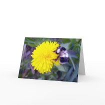 Bee My Valentine? Card