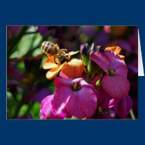 Bee 'n Beauty cards