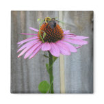 Bee on a Coneflower Refrigerator Magnet