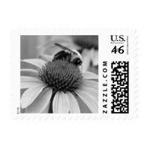 Bee on a Coneflower postage by princessklb07 Bee on a Coneflower postage