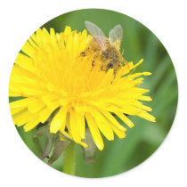 Bee on a Dandelion Sticker