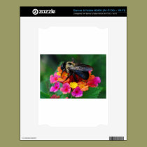 Bee on a Flower skins