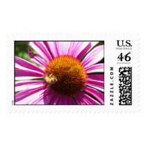 Bee on a Flower postage