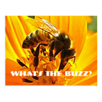 Bee on a Flower postcards