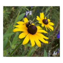 Bee on a flower posters