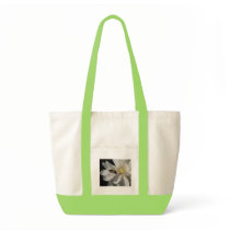 Bee on a Magnolia Centennial 2 bags