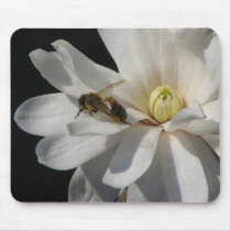 Bee on a Magnolia Centennial 2 mousepads