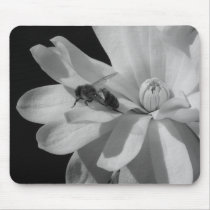 Bee on a Magnolia Centennial 2 mousepads