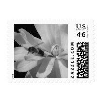Bee on a Magnolia Centennial 2 postage