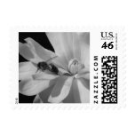 Bee on a Magnolia Centennial 2 Stamp
