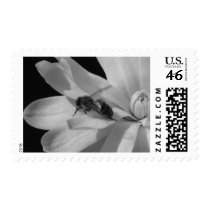 Bee on a Magnolia Centennial 2 Postage Stamp