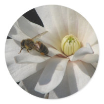 Bee on a Magnolia Centennial 2 stickers