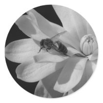 Bee on a Magnolia Centennial 2 stickers