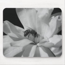 Bee on a Magnolia Centennial 3 mousepads