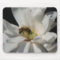 Bee on a Magnolia Centennial 3 mousepads
